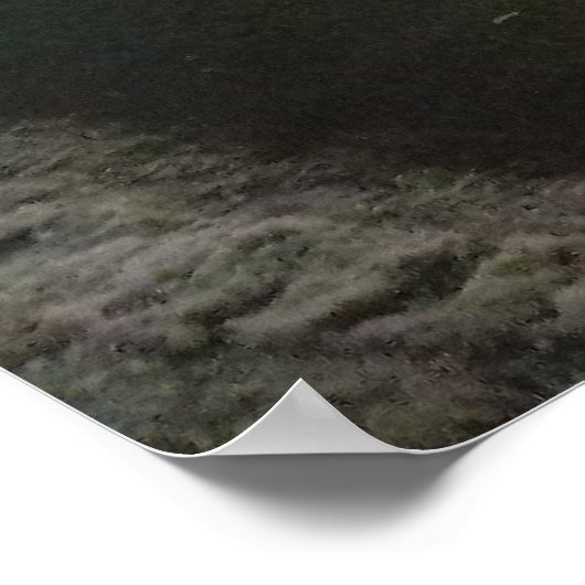 Poster Le buffle de Shea (Coin)