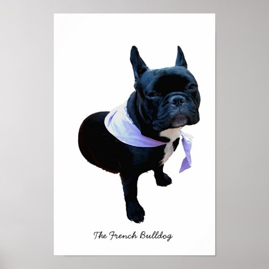 Poster Le Bulldog français (Devant)
