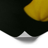 Poster Le Bumble et le Tournesol (Coin)