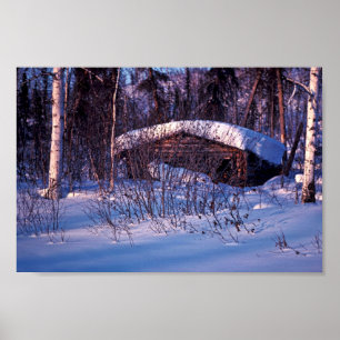 Poster Le Cabine du vieux trappeur