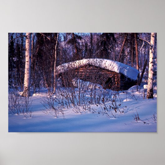 Poster Le Cabine du vieux trappeur (Devant)