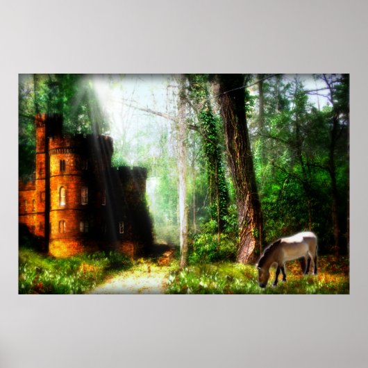 Poster Le cadeau d'Anastasia (Devant)