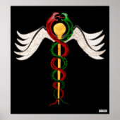 Poster Le Caduceus (Devant)