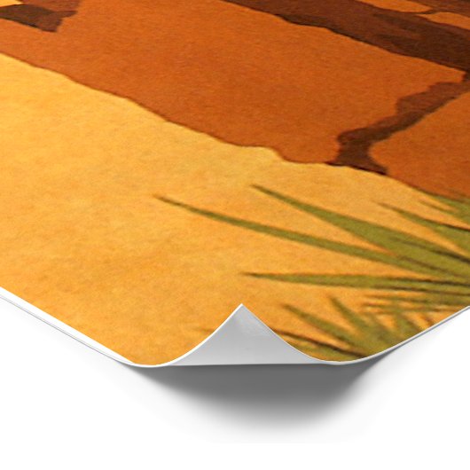 Poster Le Caire (Coin)