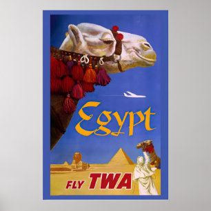 Poster Le Caire Egypte Pyramides Chameau Monde Voyage Vin
