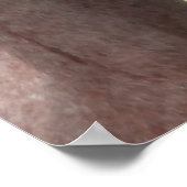 Poster Le Calme (Coin)