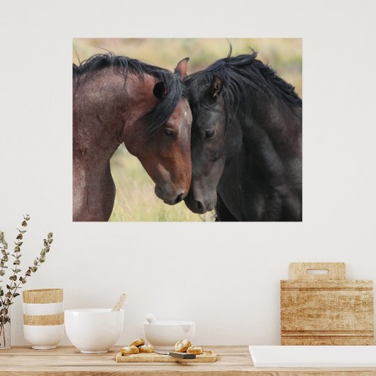 Poster Le Calme (Cuisine)