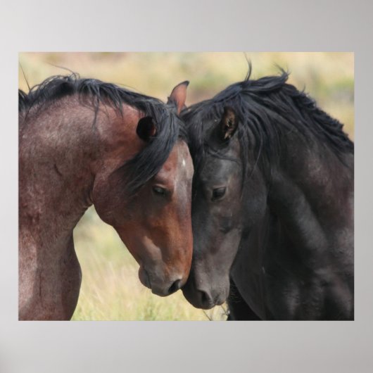 Poster Le Calme (Devant)