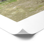 Poster Le Camion de Megan en fleurs d'amandes (Coin)