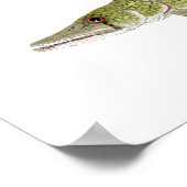 Poster Le camp de poissons de Stegbone (Coin)