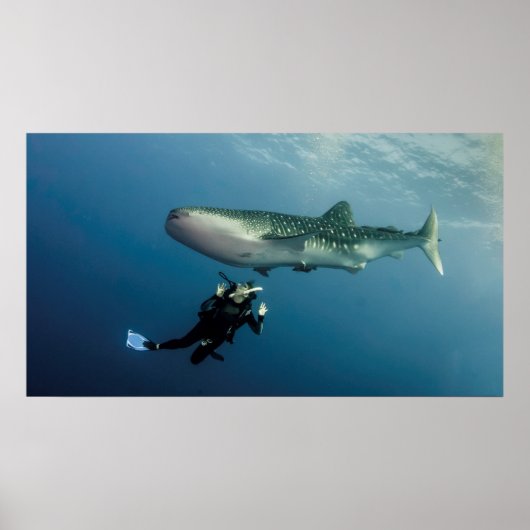 Poster Le Canard Pour La Couverture ? (Devant)