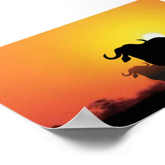 Poster Le Cap Buffalo (Coin)