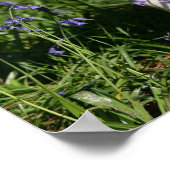 Poster Le Carlin de l'homme debout dans les cloches bleue (Coin)