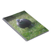 Poster le Carnet Pigeon (Côté Droit)