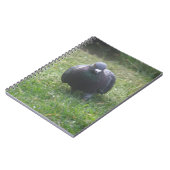 Poster le Carnet Pigeon (Côté gauche)