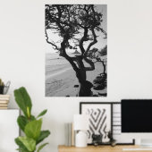 Poster Le Casquette chinois (Bureau à domicile)