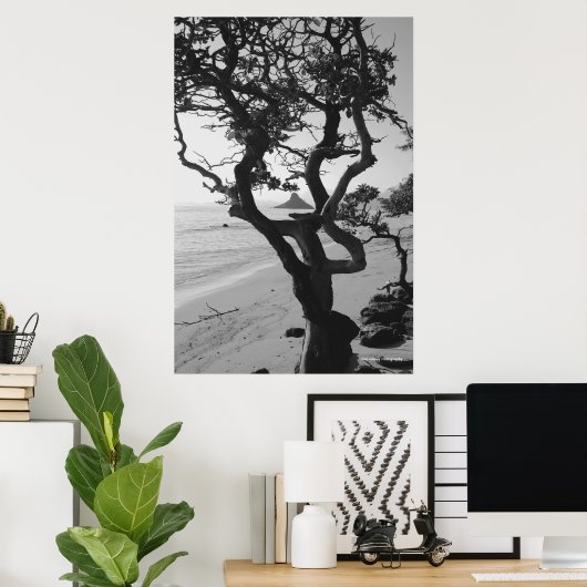 Poster Le Casquette chinois (Bureau à domicile)