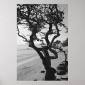 Poster Le Casquette chinois (Devant)