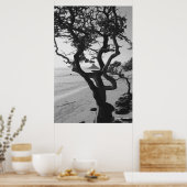 Poster Le Casquette chinois (Cuisine)