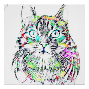 Poster Le CAT