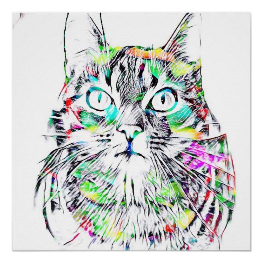 Poster Le CAT (Devant)