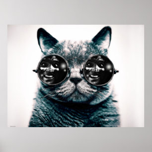 POSTER LE CAT
