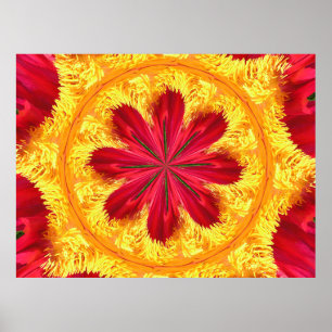 Poster Le cercle de feu
