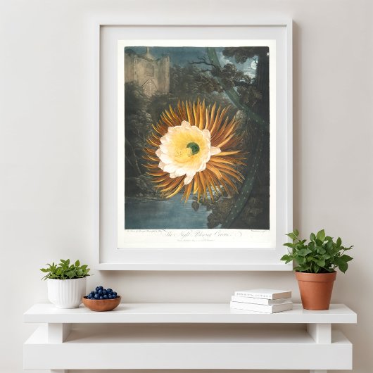 Poster Le Cereus à floraison nocturne (1799–1807)