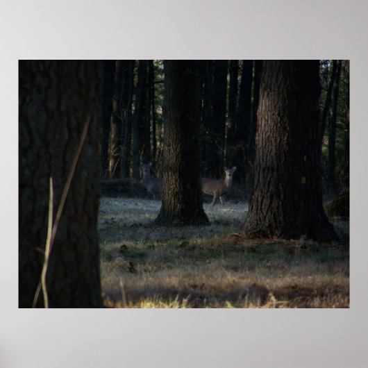 Poster Le cerf caché (Devant)