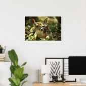 Poster Le cerf de Virginie (Bureau à domicile)