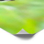 Poster Le cerf de Virginie | Minnesota (Coin)