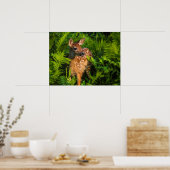 Poster Le cerf de Virginie | Minnesota (Cuisine)