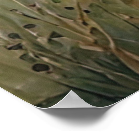 Poster Le Cerf Majestic Dans La Forêt D'Automne (Coin)