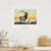 Poster Le Cerf Wapiti (Cuisine)