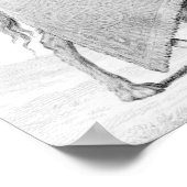 Poster Le chameau sacré (Coin)