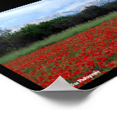Poster Le champ de coquelicots (Coin)