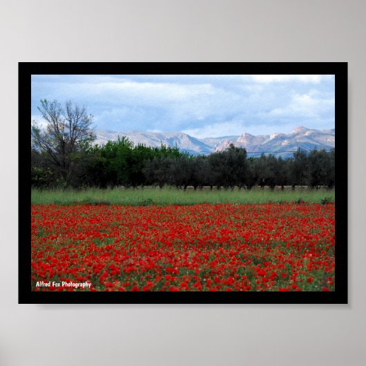 Poster Le champ de coquelicots (Devant)