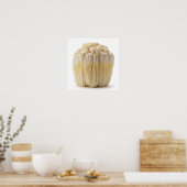 Poster Le champignon Lion's Mane (Cuisine)