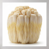 Poster Le champignon Lion's Mane (Devant)
