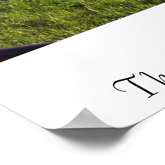 Poster Le chant du printemps (Coin)