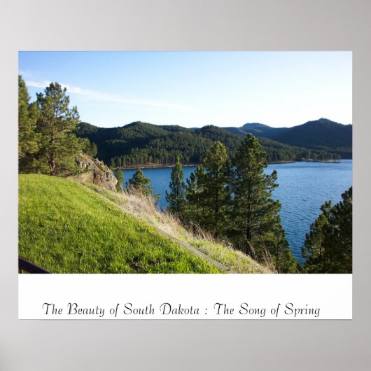 Poster Le chant du printemps (Devant)