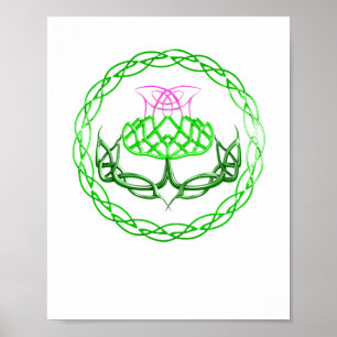 Poster Le chardon écossais de la région des Noeuds