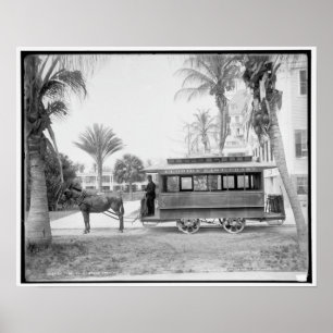 Poster Le chariot de Palm Beach