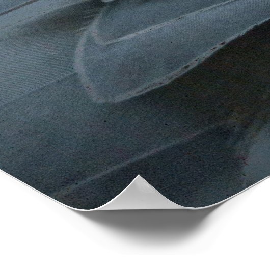 Poster Le charme de la chaussure (Coin)