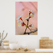 Poster Le charme des fleurs japonaises d'abricot (Cuisine)