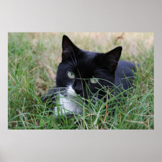 Poster Le chasseur au repos