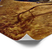 Poster Le chasseur de papillons (Coin)