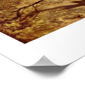 Poster Le Chasseur De Papillons Par Carl Spitzweg (Coin)