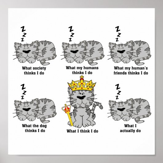 Poster Le chat (Devant)