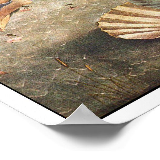 Poster Le chat de Botticelli (Coin)